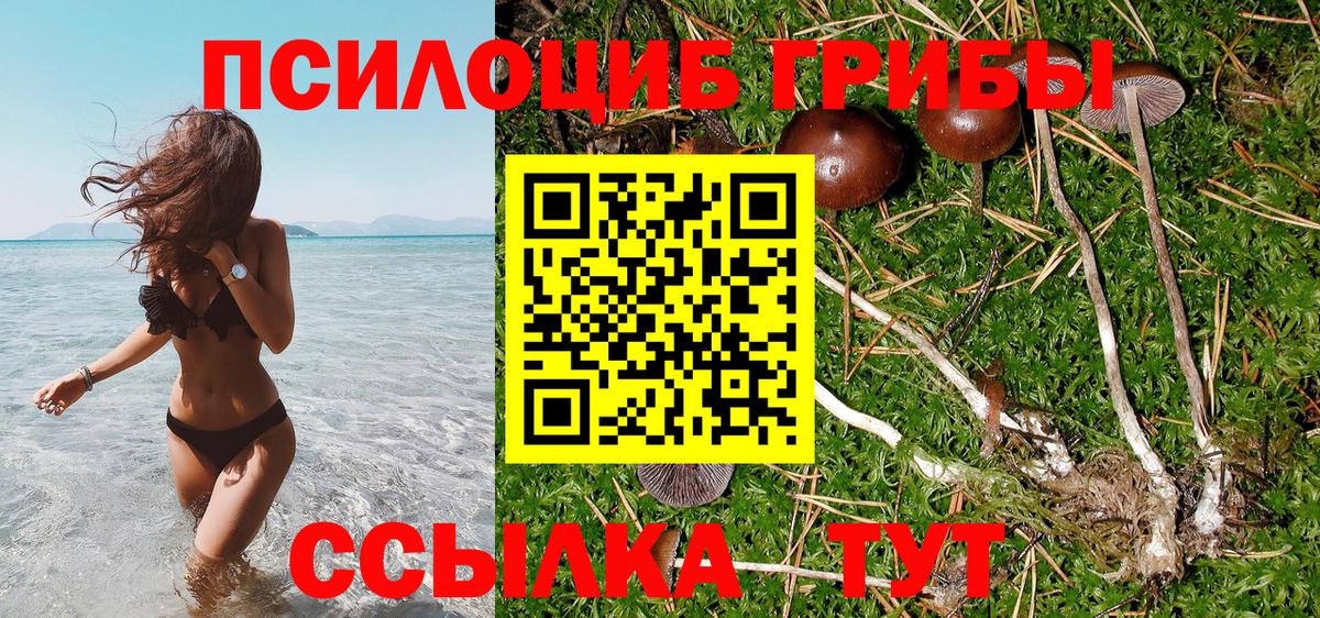 сколько стоит  Псилоцибиновые грибы Magic Shrooms  Вход с VPN  Галлюциногенные грибы GOLDEN TEACHER  Видное 